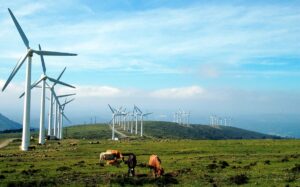 Eoliennes : Comment s’affranchir des déformations de masse lors du contrôle de la planéité des brides ?
